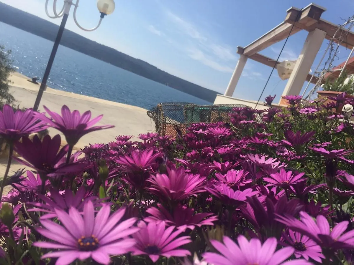Beautiful Sea View Apartment Zverinac